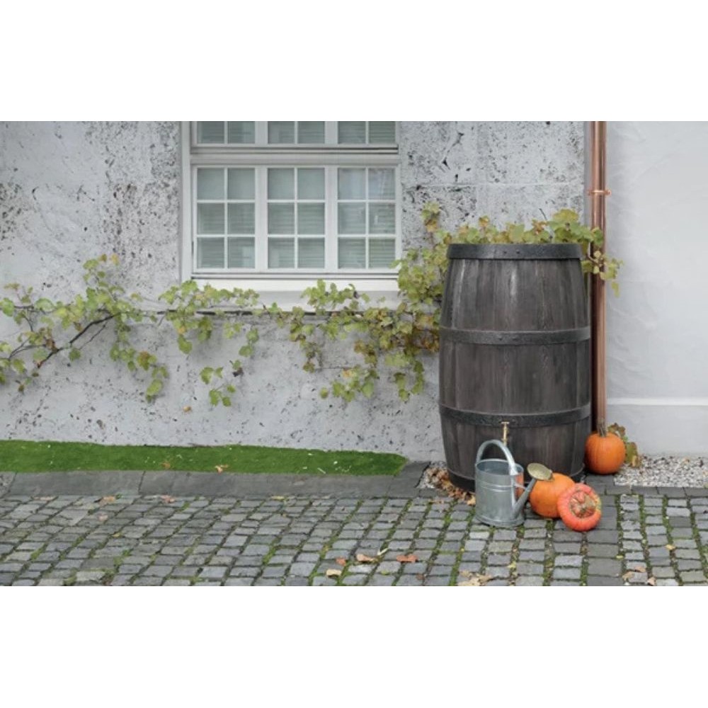 Regenwatertank Prosperplast Arves Burgund, 500L | Regenwatertanks | Watertanks |
